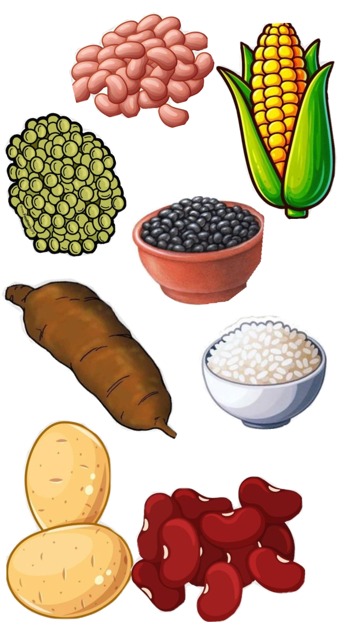 Comparación de etiquetas de productos nutracéuticos: leyendo ingredientes activos y concentraciones